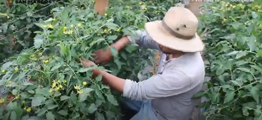 Fortalecimiento al desarrollo económico local