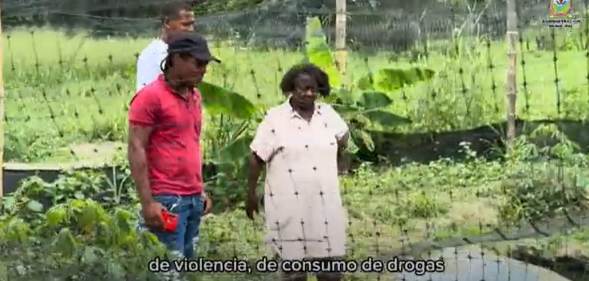 Jóvenes sin fronteras