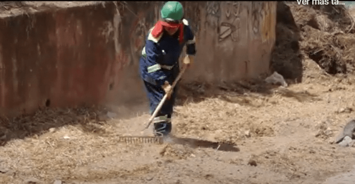 Guardianes de la Serpiente de Oro