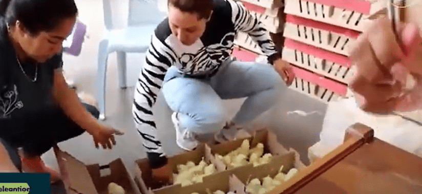 Seguridad alimentaria dirigido a personas en condición de discapacidad y sus cuidadores