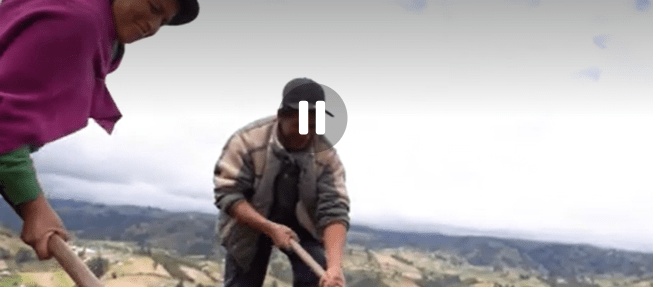 Cangahua y siembra de cosecha de agua
